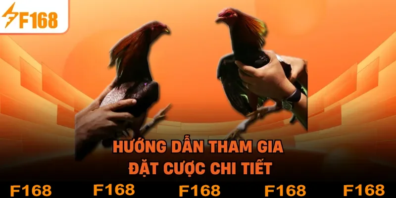 Hướng dẫn tham gia đặt cược chi tiết