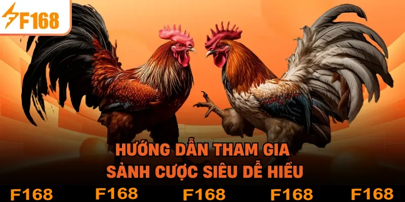 Hướng dẫn tham gia sảnh cược siêu dễ hiểu