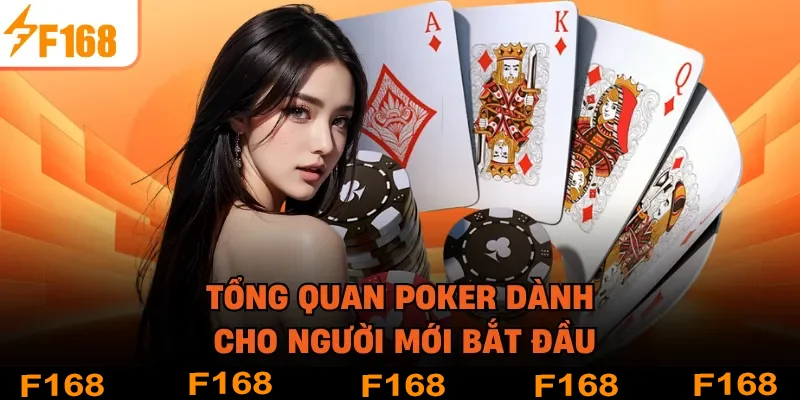 Tổng quan Poker dành cho người mới bắt đầu
