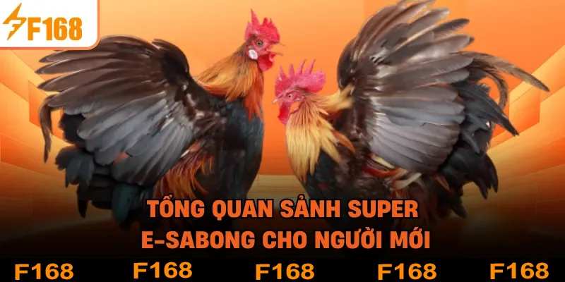Tổng quan sảnh Super e-sabong cho người mới