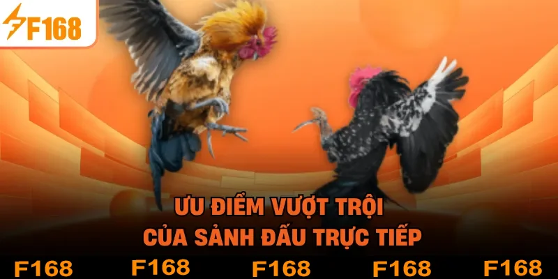 Ưu điểm vượt trội của sảnh đấu trực tiếp